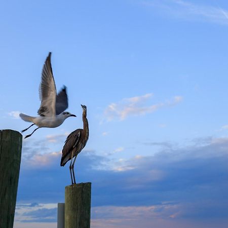 Forest Beach Villas Hilton Head Island Quarto foto