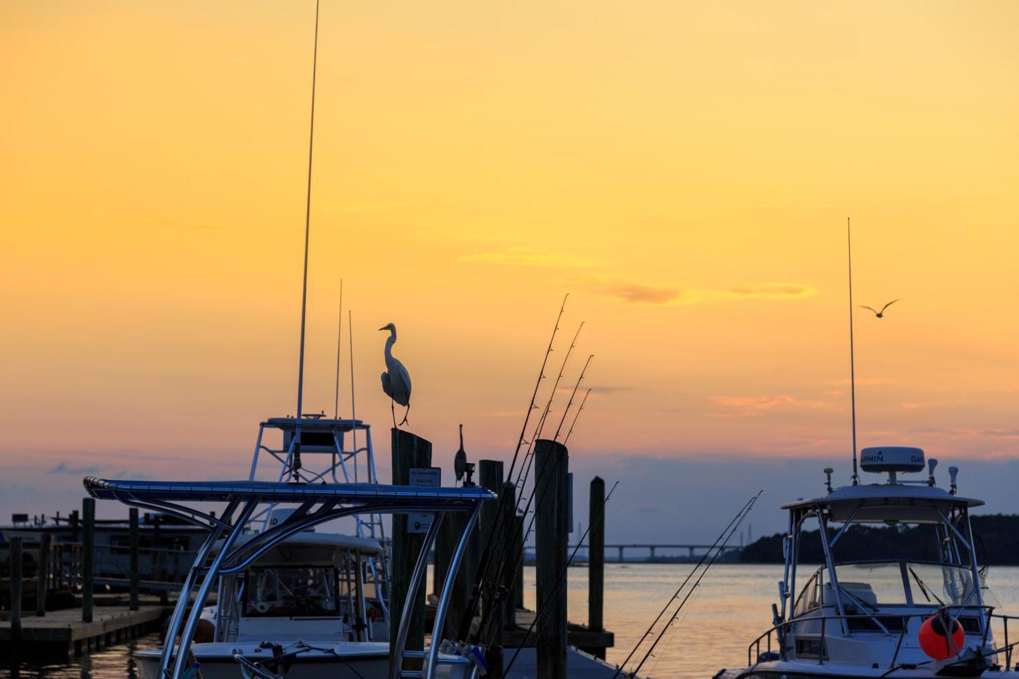 Forest Beach Villas Hilton Head Island Quarto foto